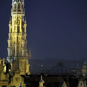 Europe, Belgium, Brussels. Hotel de Ville and city viewed from Palais des Congres