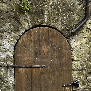 Europe, Estonia, Tallinn. Detail of old wooden door in stone wall