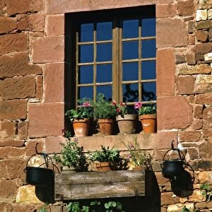 Europe, France, Collognes-la-Rouge. Colorful flower pots adorn a window in this home