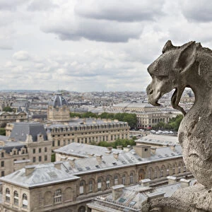 Europe, France, Paris. A gargoyle on the Notre Dame Cathedral
