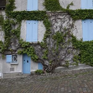 Europe, France, Paris. Ivy-covered wall of a building. Credit as: Bill Young / Jaynes