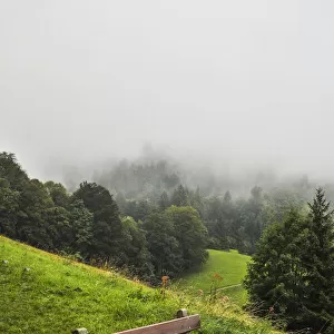Europe, Germany, Bavaria, Berchtesgaden, Early Morning Fog