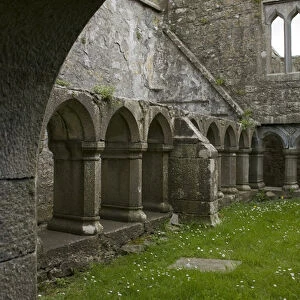 Europe, Ireland, Galway. Stone arches and columns inside the ruins of the Ross Errilly Friary