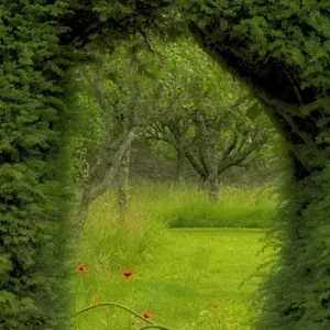 Europe, Ireland. Garden at Ardmore Castle
