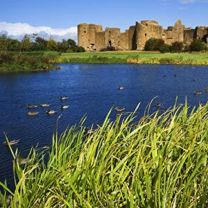Europe, Ireland, Roscommon. View of ruins of Roscommon Castle and ducks on pond. Credit as