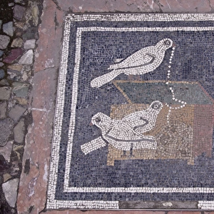 Europe, Italy, Campania, Pompeii. Bird mosaic in the floor of the House of the Faun