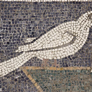 Europe, Italy, Campania, Pompeii. Detail of bird mosaic in the floor of the House of the Faun