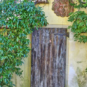 Europe, Italy, Chianti. Old wooden door beneath a stairway with climbing vines
