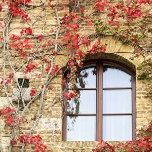 Europe, Italy, Chianti. Red climbing ivy vine on a stone wall