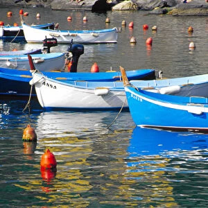 Europe, Italy, Cinque Terre. Boats in Vernazza harbor