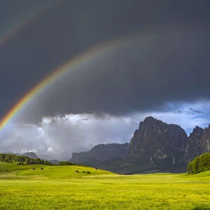 Europe, Italy, Dolomites, Alpe di Siusi. Double rainbow over mountain meadow. Credit as