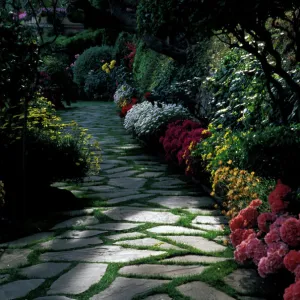 Europe, Italy, Liguria, Portofino. Flowered path along Hotel Splendido