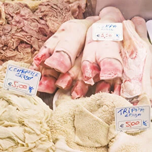Europe, Italy, Tuscany, Florence, Tripe and Pig Feet For Sale at Market