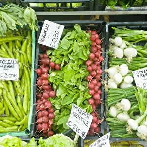 Europe, Italy, Tuscany, Florence, Vegetales For Sale at Market