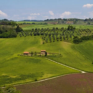Europe; Italy; Tuscany; Pienza; Villa with Olive Groves and Wheat Fields