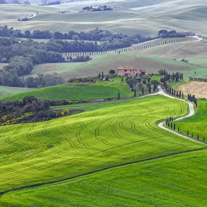 Europe, Italy, Tuscany, Val d Orcia. Farm landscape