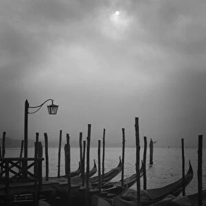 Europe, Italy, Venice. Moored gondolas and fog
