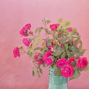 Europe, Italy, Vernazza. Roses in vase. Credit as: Jim Nilsen / Jaynes Gallery / DanitaDelimont