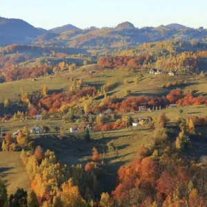 Europe, Romania, Transylvania, Carpathian Mountains, Magura, Piatra Craiului National Park