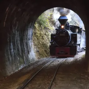 Europe, Romania, Viseu de Sus. Carpathian Forest Steam train. Vaser Valley Railway