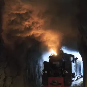 Europe, Romania, Viseu de Sus. Carpathian Forest Steam train. Vaser Valley Railway