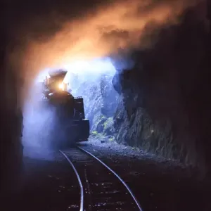 Europe, Romania, Viseu de Sus. Carpathian Forest Steam train. Vaser Valley Railway