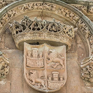 Europe, Spain, Salamanca, relief sculpture of crest on university wall