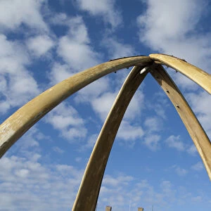Falkland Island, Stanley (aka Port Stanley). Whalebone Arch, constructed in1933