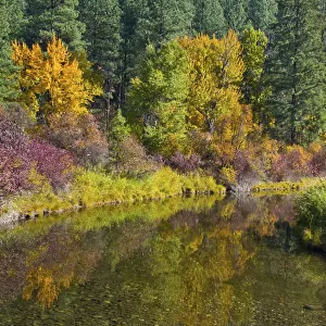 Fall color, Leavenworth National Fish Hatchery, Wenatchee National Forest, Washington State, USA