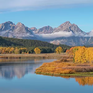 Fall color at Oxbow Bend of the Snake River, Grand Teton National Park, Wyoming