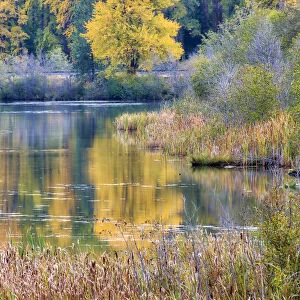 Fall color along the Yakima River in Cle Elum