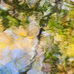 Fall Colors Print - Ripples in Tennessee Pond Fall Colors Print - Ripples in Tennessee Pond