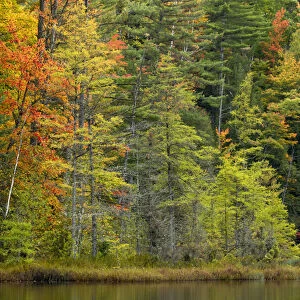 Fall colors on shoreline of Irwin Lake, Hiawatha National Forest, Alger County, Upper