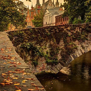 Fall leaf strewn bridge over a canal in Bruges, Belgium