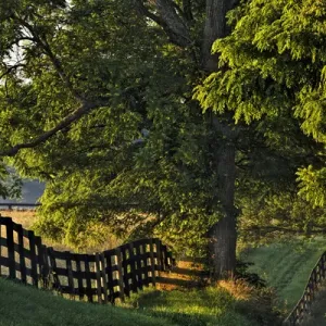 Farm fence at sunrise, Oldham Co. Kentucky