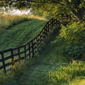 Farm fence at sunrise, Oldham County, Kentucky