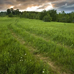 A farm road in Sabins Pasture in Montpelier, Vermont