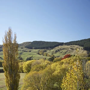 Farmland, Esk Valley, near Napier, Hawkes Bay, North Island, New Zealand