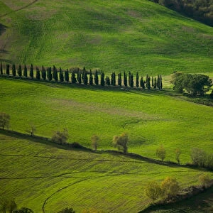 Farmland around Montepulciano, Tuscany, Italy