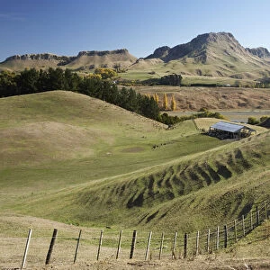 Farmland, Tukituki Valley, and Te Mata Peak, Hawkes Bay, North Island, New Zealand