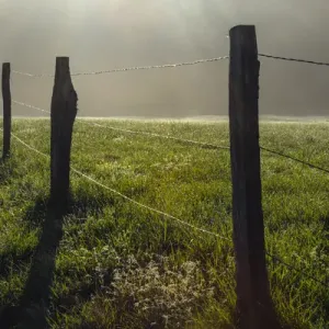 Fence in Cades Cove at sunrise, Great Smoky Mountains National Park, Tennessee
