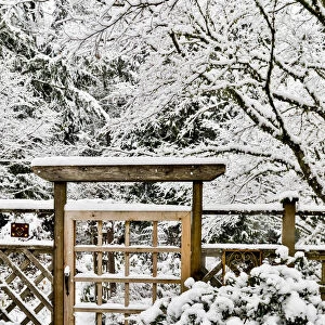 Fence and gate covered with snow