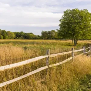A field in Ipswich, Massachusetts