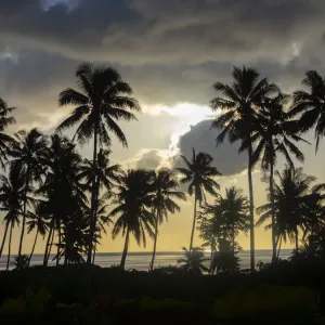 Taveuni Island Print - Fiji Beach Sunset with Palm Trees