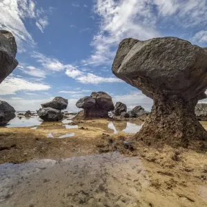 Taveuni Island Rock Formations Print