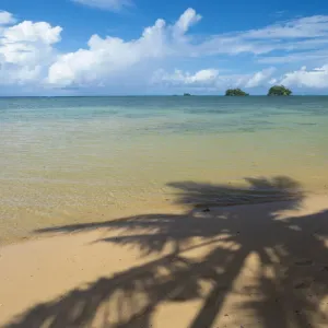 Fiji Taveuni Island Print: Palm Tree Silhouette on Sandy Beach
