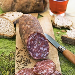 Finocchiona, tuscan salami with wild fennel seeds (Foeniculum vulgare), Florence