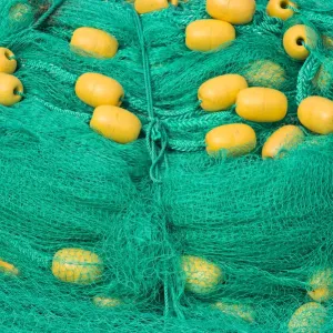 Fish net on the shore of Sayram Lake, Yining (Ghulja), Xinjiang Province, China