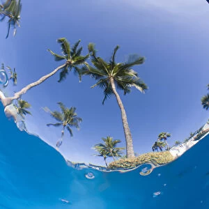 Fisheye view from swimming pool, South Maui, Hawaii, USA