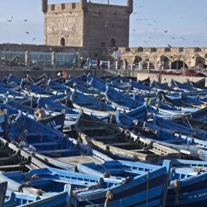 Fishing boats, Essaouira, Morocco